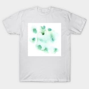 Spring storm T-Shirt